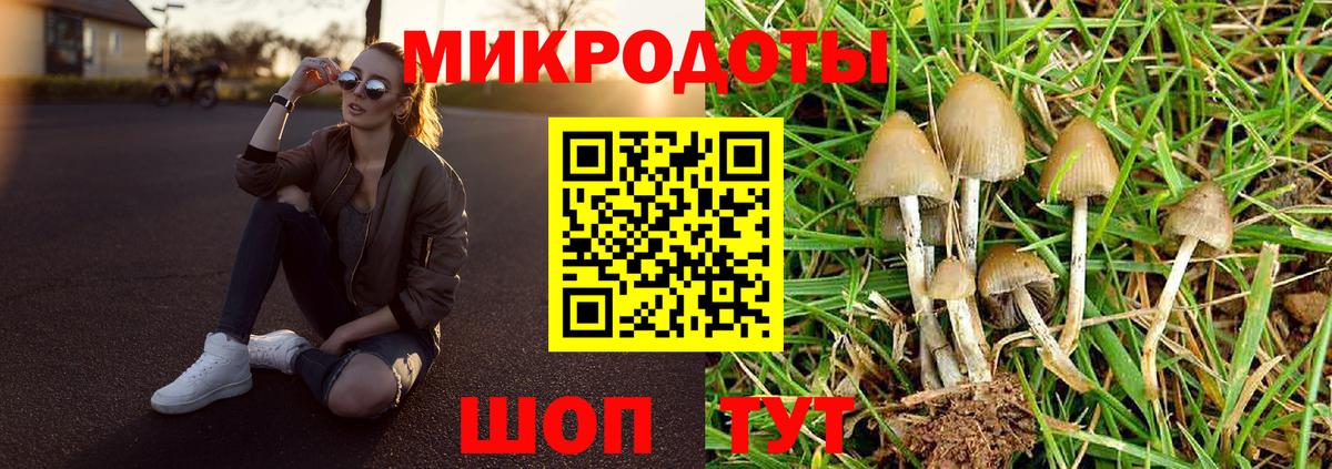 Псилоцибиновые грибы ЛСД  Галлюциногенные грибы Magic Shrooms  Вход с VPN  Тимашёвск 